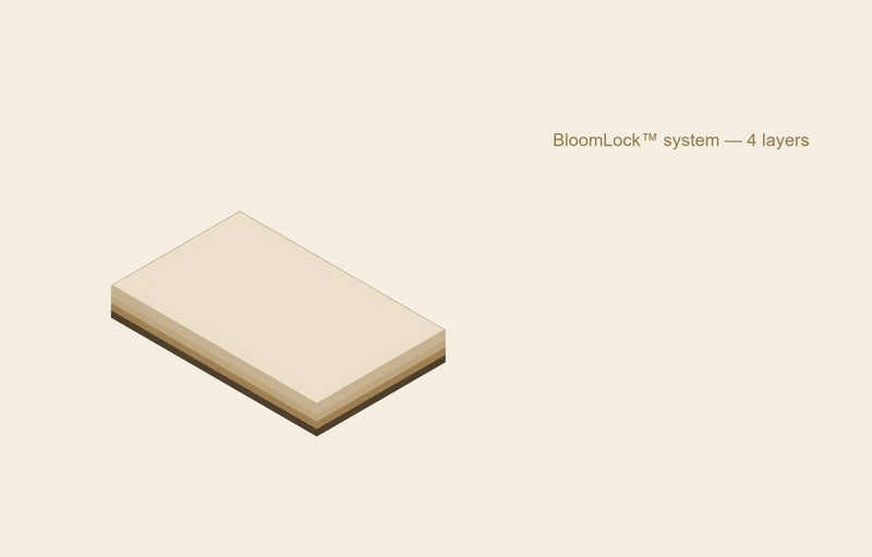 Everfleur BloomLock™ Leakproof Brief — Conversion